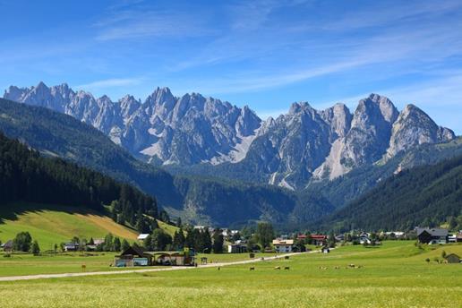 Pension Edelweiss Appartement Wimmer Gosau Exterior photo
