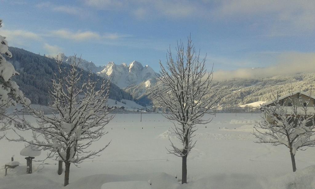 Pension Edelweiss Appartement Wimmer Gosau Exterior photo
