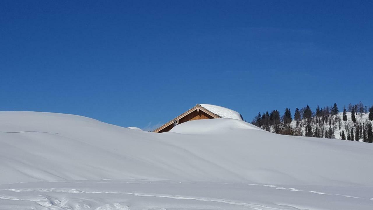 Pension Edelweiss Appartement Wimmer Gosau Exterior photo